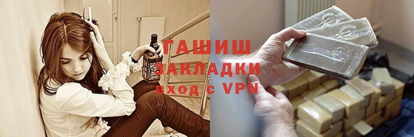 гашик Алексин