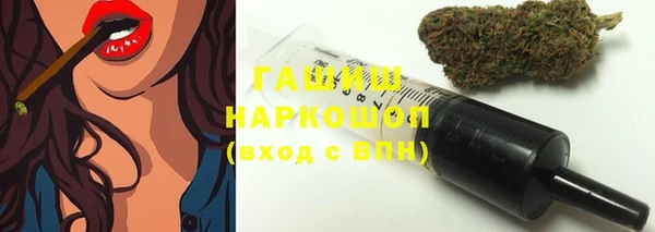 гашик Алексин