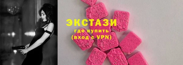 гашик Алексин