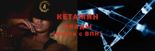 гашик Алексин