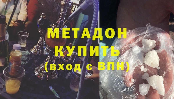 гашик Алексин