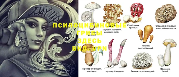 амф Алзамай