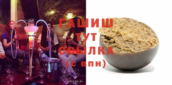 гашик Алексин