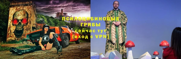 гашик Алексин
