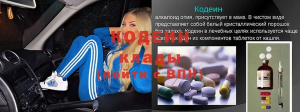 гашик Алексин