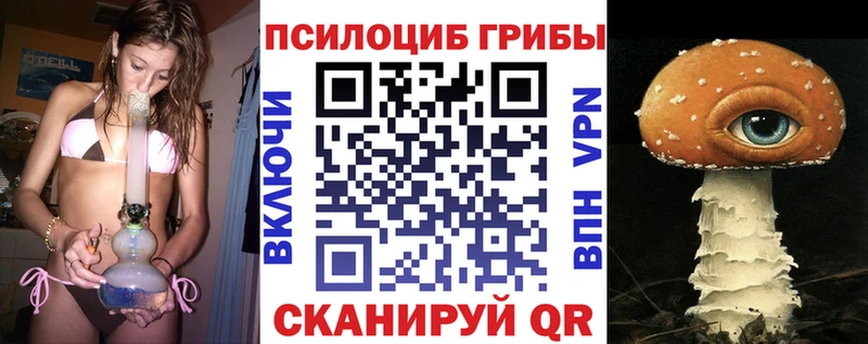 Псилоцибиновые грибы Cubensis  Кропоткин 