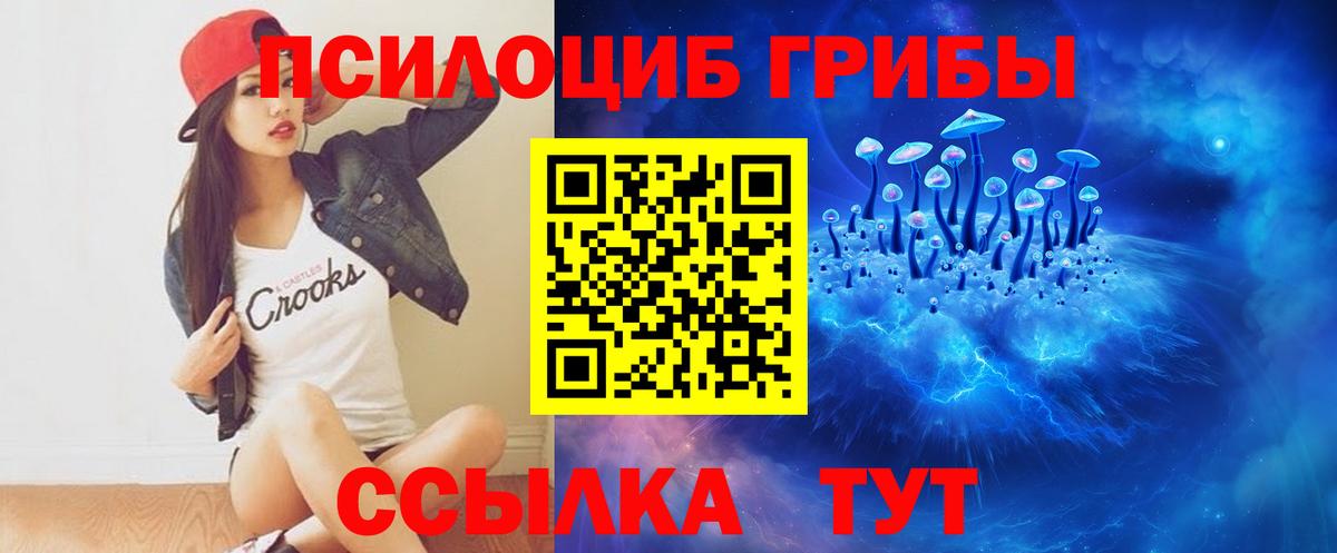 Кропоткин  Галлюциногенные грибы GOLDEN TEACHER  хочу   Галлюциногенные грибы Psilocybine cubensis  Вход с VPN 